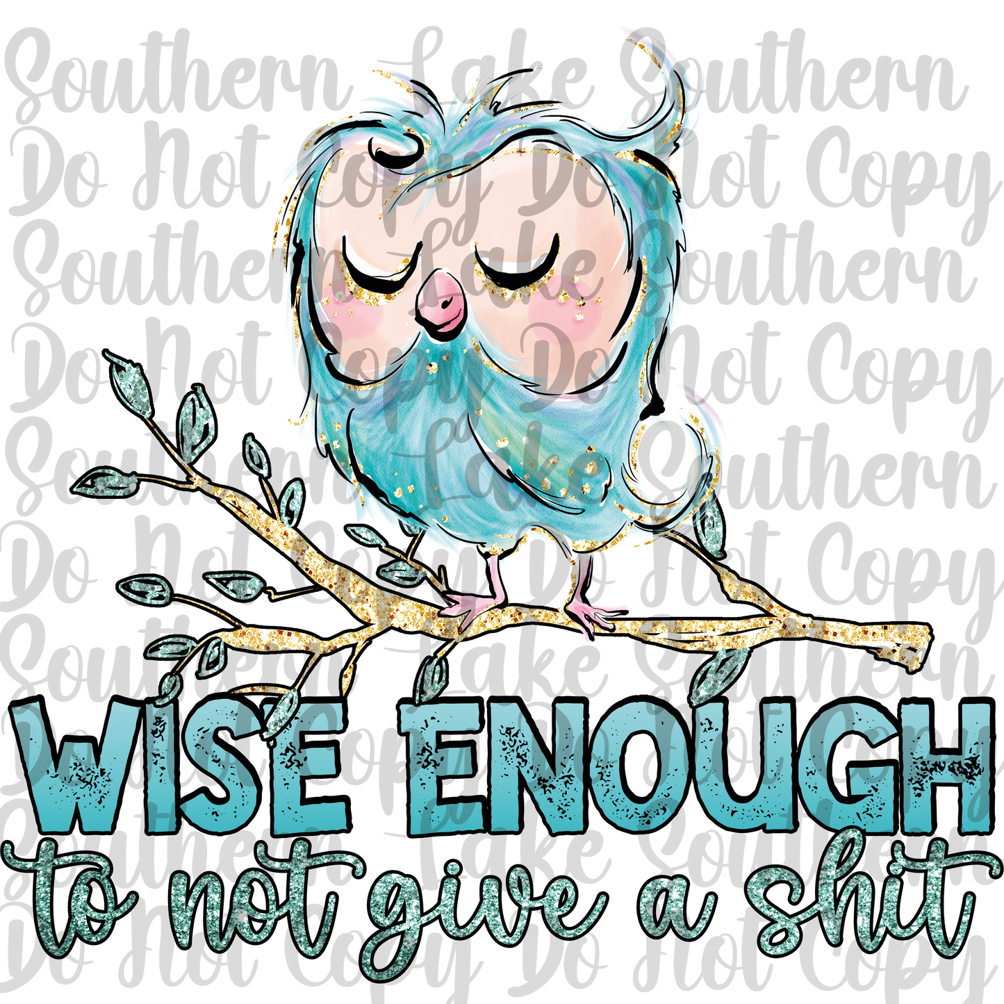 Wise Enough To Not Give a Shit DTF Single Print