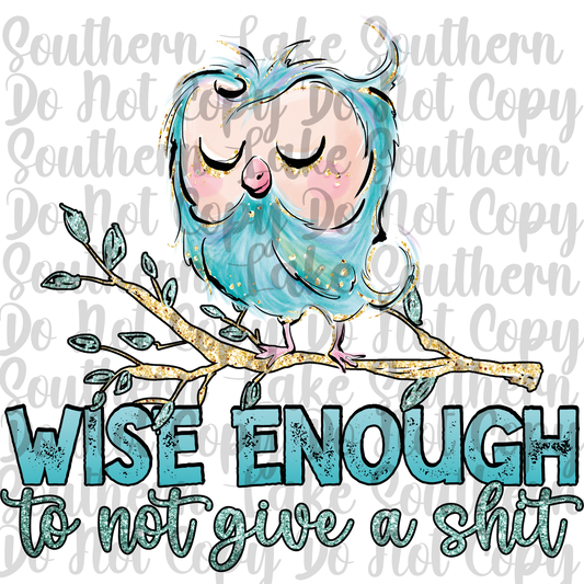 Wise Enough To Not Give a Shit DTF Single Print